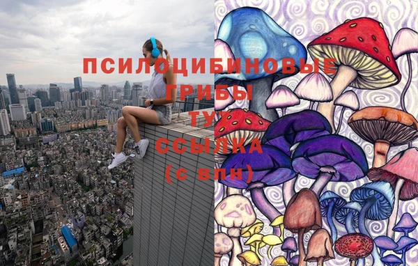 дмт Горно-Алтайск