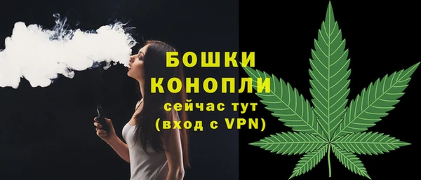 соль ск Горнозаводск