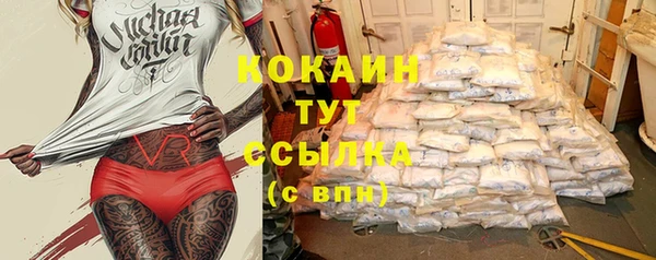дмт Горно-Алтайск