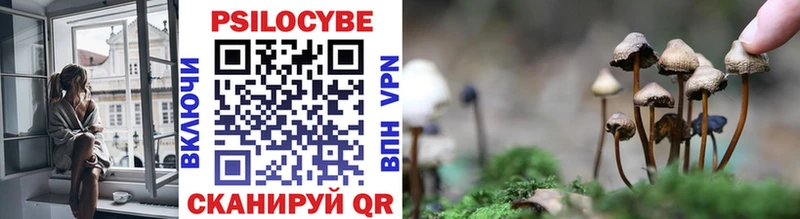 Галлюциногенные грибы Psilocybe  наркошоп  Емва 